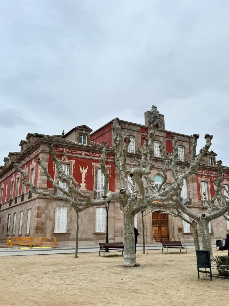 whatsapp image 2026 03 09 at 13.07.55