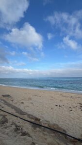 Badalona Spain Travel Guide 2026 – History, Beaches & Best Things to Do Visit Badalona in 2026