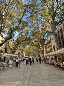 Home la-rambla-barcelona-main-street