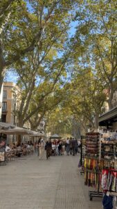 liceu-opera-house-la-rambla